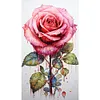 【Limited Stock Sale】(Big Size)Texture Rose-Paint by Numbers Acrylic Painting 40*70CM