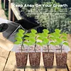 🔥Hot Sale Promotion 49% OFF - Seed Starter Trays with Grow Light