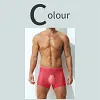 Ultra-thin Transparent Ice Silk Seamless Low-Waist Sexy Boxer Briefs