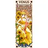 Sailor Moon Clow Card Girl-11CT Stamped Cross Stitch