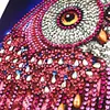 Owl - Special Shaped Diamond Painting Kit