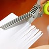 5 Blade Kitchen Salad Scissors (🔥 Hot Sale-50% Off 🔥)