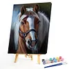 Paint by Numbers Acrylic Painting - Horse 40*50cm