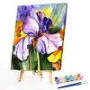 Iris-Paint by Numbers Acrylic Painting 40*50cm