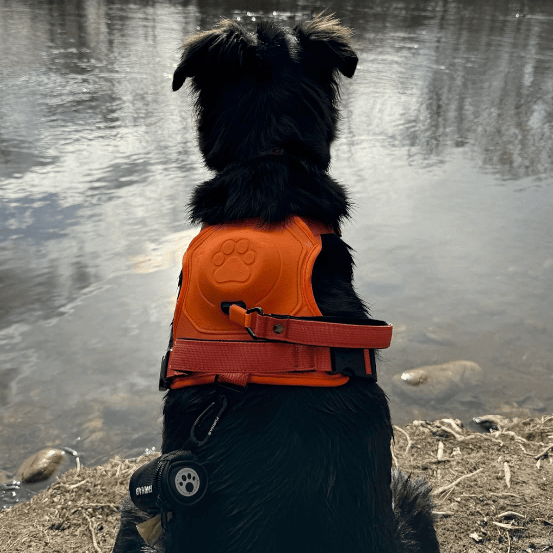 Poochbark&trade; 3 in 1 Dog Harness with Built-In Leash