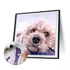Paint by Numbers Acrylic Painting - Pet Dog 40*40cm(HOT)