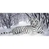 Tiger - Full Round/Square Diamond Painting(90*45cm)