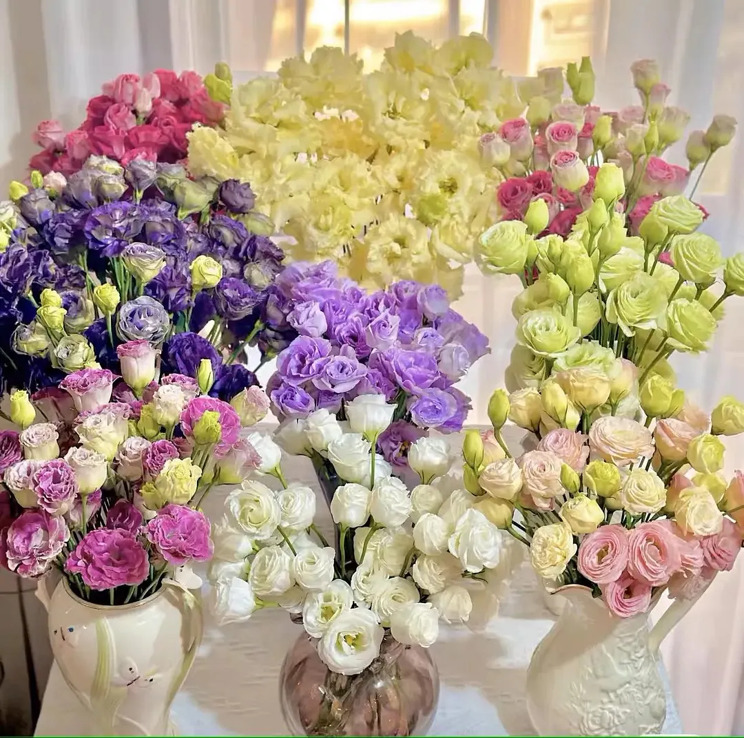 Premium Lisianthus Seeds &ndash; Grow Elegant, Long-Lasting Blooms in Your Garden
