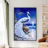 (Big Size) White Peacock - 11CT Stamped Cross Stitch 40*65cm/15.75*25.59in