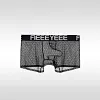 Men's Sheer Boxer Briefs See Through Breathable Ice Silk Boxer Briefs Transparent Elephant Nose Underwear