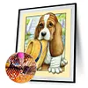 Diamond Painting -DIY Round Drill Animal Dog