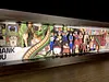 3D Decorative Paint of Special Collection Ver. Dragon Ball - Dragon Ball Decorative Painting - momo Studio