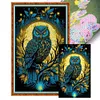 >SALE<Full Embroidery Cotton Thread11CT Print Moonlight Owl Cross Stitch Kit 50x80cm