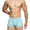 Men's Underwear Boxer Trunks Sexy Low Rise Cut Fashion Sports Style