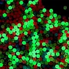 1000pcs/box Luminous Fishing Beads Hard Plastic Round Glow Beads Fishing Stopper