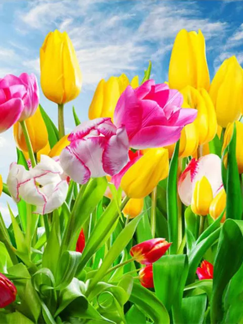 Diamond Painting - Full Round/Square Drill - Flower(30*40 - 50*60cm)