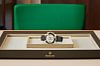 Rolex 116518LN Daytona White - New