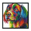 Colorful Dog-14CT Stamped Cross Stitch Kit(34x34cm)
