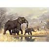 Diamond Painting-DIY Full Round Drill Elephants