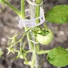 50/100/150 pi&egrave;ces Clips support pour plantes