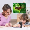 50-1000X Digital Microscope USB Macro Lens for Biological Observe Skin Detection