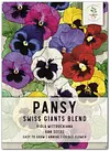 Swiss Giants Pansy Seeds for Gardening Planting Package of 600 Seeds Attracts Monarch Butterflies