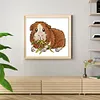 Guinea Pig - 14CT Stamped Cross Stitch 11*9cm/4.33*3.54in(Brand)