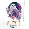 【Limited Stock Sale】Flowers And Owl-Paint by Numbers Acrylic Paintingg 40*40CM(Watercolor)