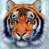 Tiger - Full Round Diamond Painting  30*30cm
