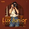 Godox Lux Junior Vintage Flash Light Portable Mini Pocket Mirrorless Camera Hot Shoe Ceiling Light SLR Camera Photography Equipment Outdoor Photography