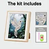 Framed Hummingbird-Pearls Painting Kit DIY Diamond Painting Pearl Dot Crafts 17*22CM