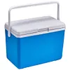 3L Insulated Portable Cooler with Handle Mini Freezer Fridge for Beach Picnic