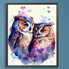 Two Owls-Paint By Numbers Acrylic Painting 40*50CM