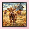 Highland Cattle-Full Embroidery 2 Strands 14CT Stamped Cross Stitch-40*40CM