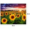 Sunflower-Paint By Numbers Acrylic Painting 50*40cm