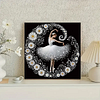 Ballet Girl-Special Shaped Diamond Painting Kit