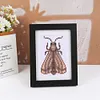 8pcs Insect DIY Mini Round Diamond Painting Set 12x17cm