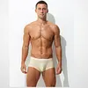 Men's Ultra-Thin Ice Mesh Transparent Sexy Boxers
