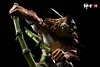 1/6 Scale Tora Gari/ Tiger Hunting Roronoa Zoro - ONE PIECE Resin Statue - ShenShi18 Studios