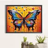 Butterfly-Paint by Numbers Acrylic Painting 30*40cm
