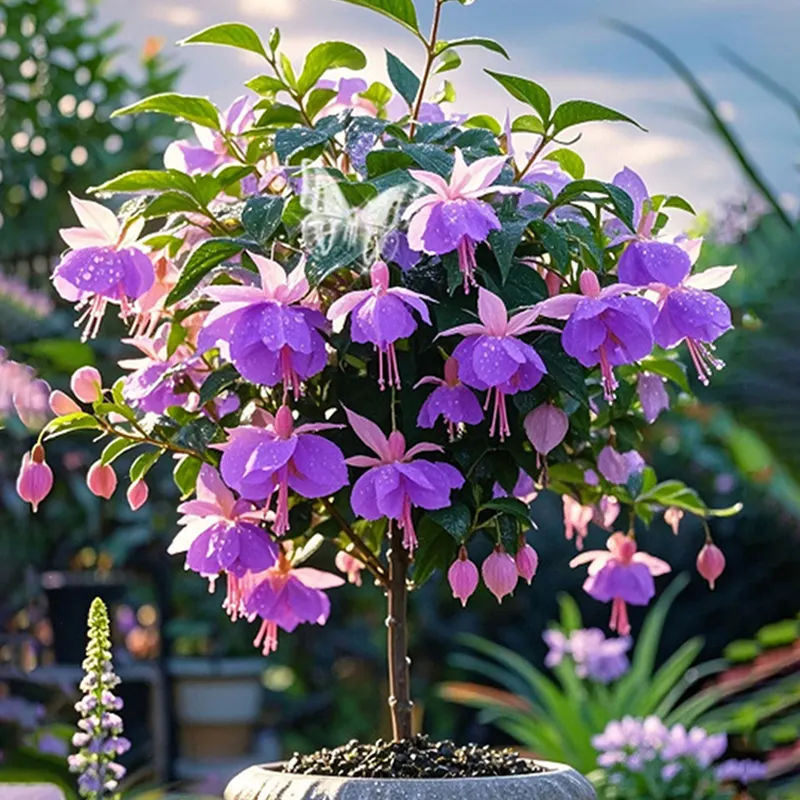 Ruby-🔔Double Fuchsia Bulbs