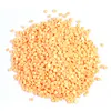 DMC 10g Round Drills Package DIY  Diamond Painting Rhinestones