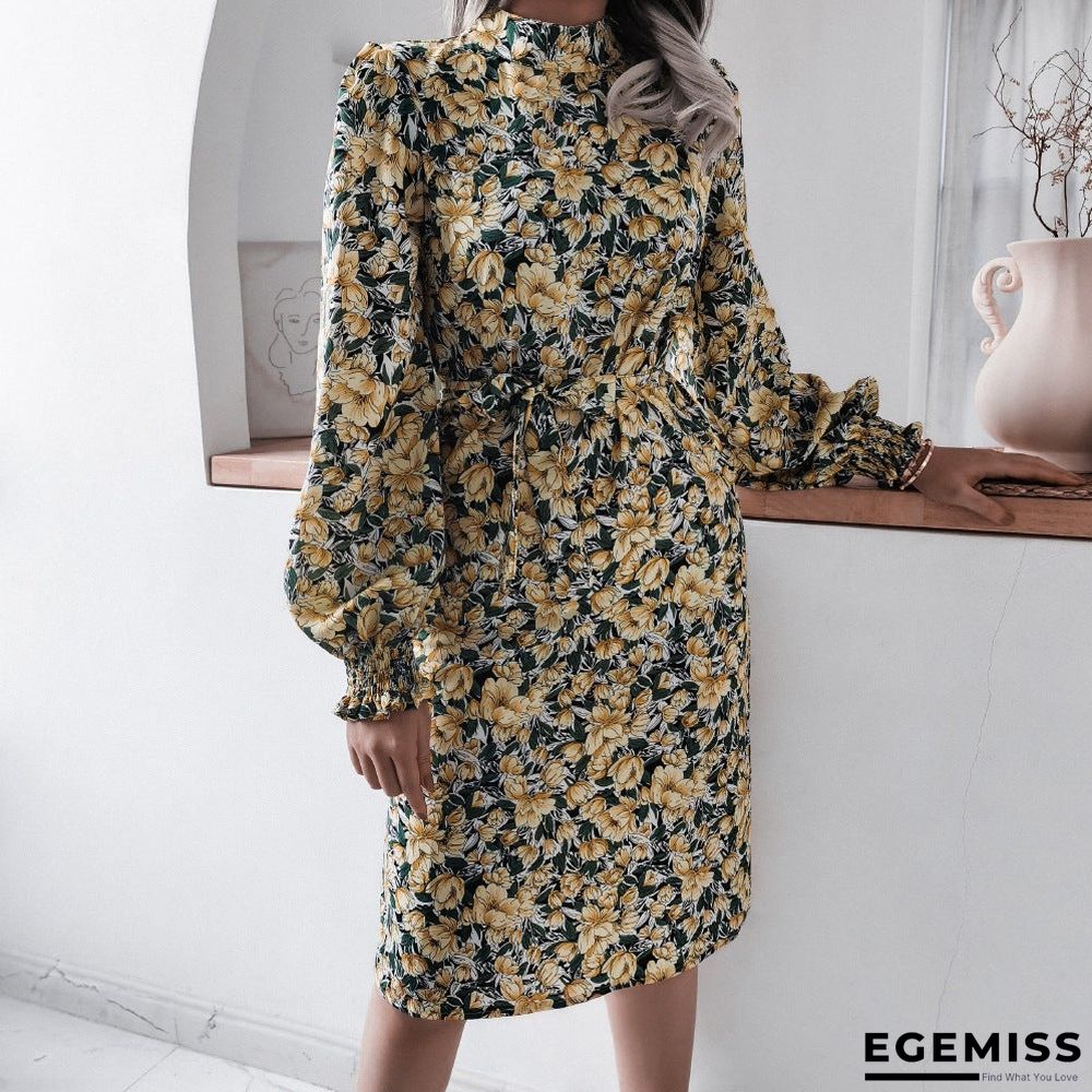 Floral Stand Collar Lantern Long Sleeve Chiffon Dress | EGEMISS