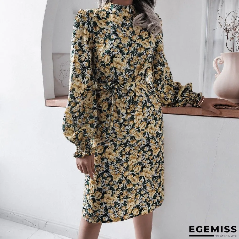 Floral Stand Collar Lantern Long Sleeve Chiffon Dress | EGEMISS