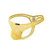 Men's Transparent Thong Underwear Comfty Lace Pouch Underwear