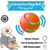 Interactive Dog Ball - Smart Toy for Pups