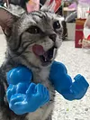 Cat Muscle Arm 3D Printed Neck Arm with Muscle Pet Cosplay Costume Accessories