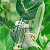 50/100/150 pi&egrave;ces Clips support pour plantes