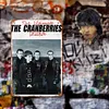 The Cranberries Band - Vintage Metal Signs - 20*30cm/30*40cm - Music