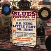 Blues - Vintage Metal Signs - 20*30cm/30*40cm - Music